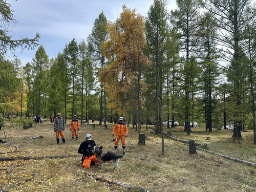 Хөвсгөлд алга болсон эмэгтэйг 8 дахь хоногтоо эрэн хайж байна